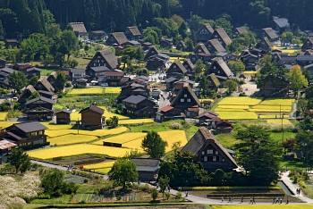 Khám phá ngôi làng lịch sử Shirakawa-go và Gokayama
