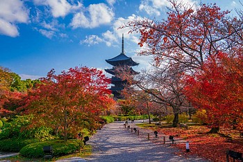 Khám phá chùa Toji – Kyoto