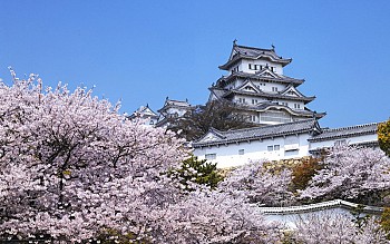 Lâu đài diệc trắng Himeji tuyệt đẹp tại Nhật Bản