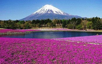 Núi Phú Sĩ – Biểu tượng của nước Nhật