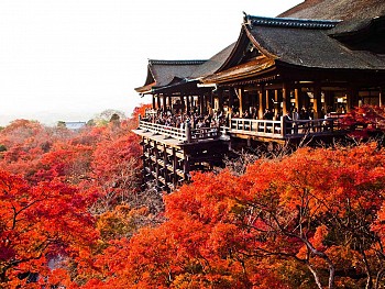 Cụm di tích lịch sử của cố đô Kyoto